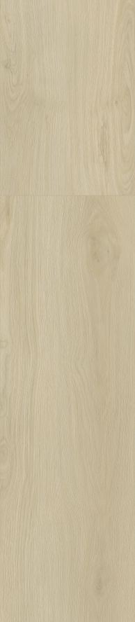 Cream Oak surface swatch from the Dream Floor 2026 SPC catalog