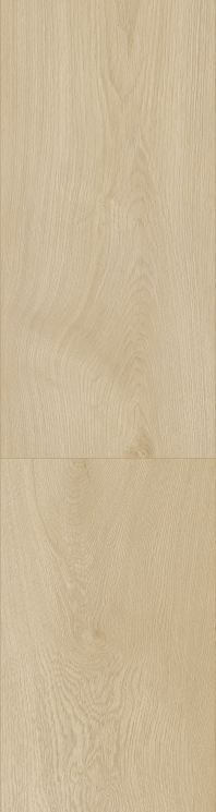 Latte Oak surface swatch from the Dream Floor 2026 SPC catalog